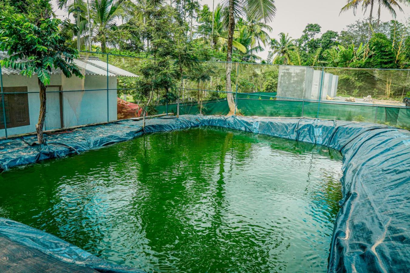 Green Aura Private Villas Sultan Bathery Exterior photo