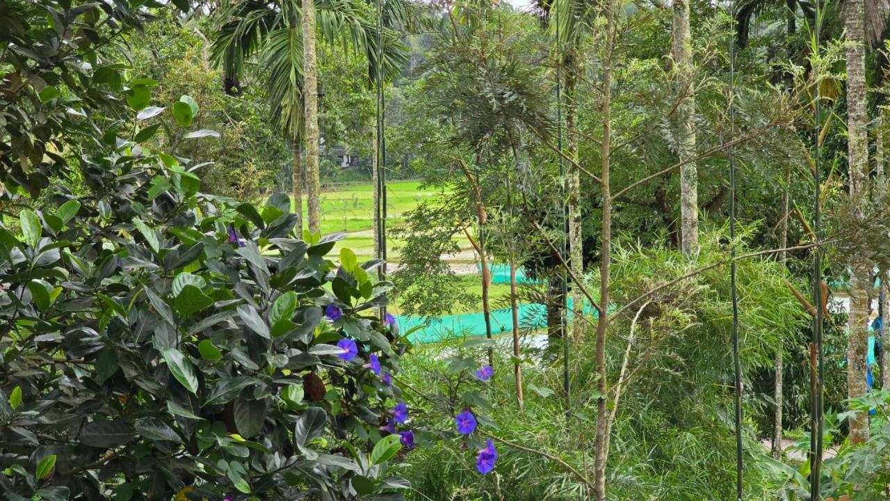 Green Aura Private Villas Sultan Bathery Exterior photo